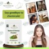 Nexvaida Organic Henna Powder